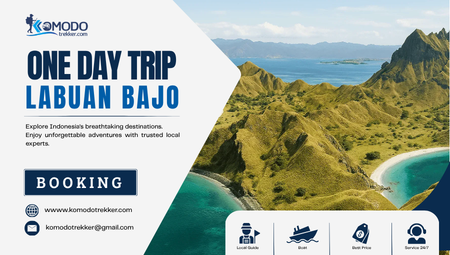 One Day Trip Labuan Bajo