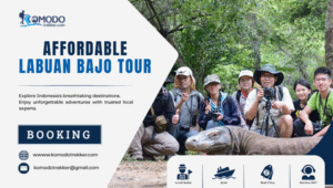 Affordable Labuan Bajo Tour