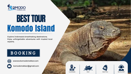 best komodo island tour