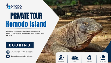 private komodo island tour