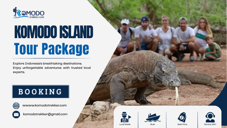 komodo island tour packages