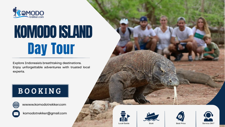 komodo island day tour