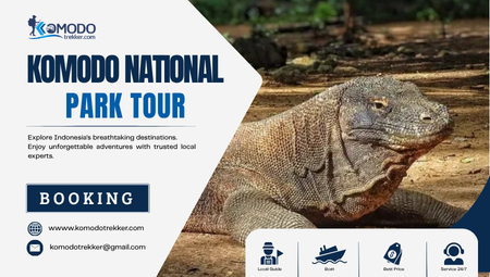 komodo national park tour