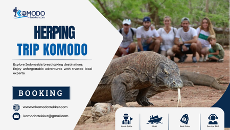Herping Trip Komodo