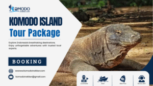 Best Komodo Island Tour Package