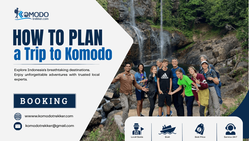How to Plan a Trip to Komodo and Flores