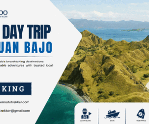 One Day Trip Labuan Bajo | Kelor, Menjerite & Kalong