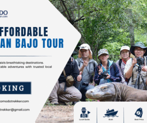 Affordable Labuan Bajo Tour | Explore More for Less