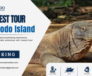 best komodo island tour