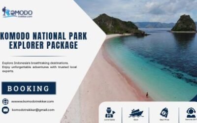 Komodo National Park Explorer Package for an Immersive Island Adventure