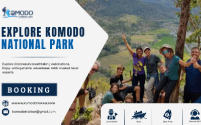 Explore Komodo National Park | Exciting Travel Options from Labuan Bajo