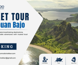 Labuan Bajo Paket Tour 5 Options for an Easy Holiday