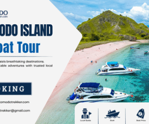 Komodo Island Boat Tour 6 Highlights for a Better Trip