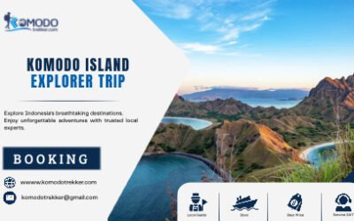 Komodo Island Explorer Trip Discover Wildlife, Islands and Marine Adventure
