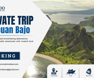 Private Trip Labuan Bajo for a More Flexible Holiday