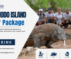 komodo island tour packages