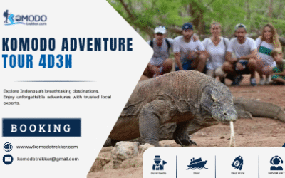 Komodo Adventure Tour 4D3N – Explore Islands and Wildlife