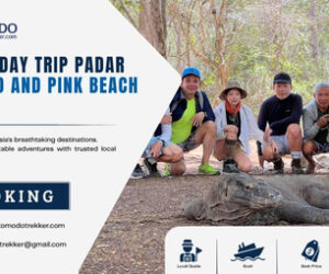 One Day Trip Padar Island and Pink Beach: Complete Guide from Labuan Bajo