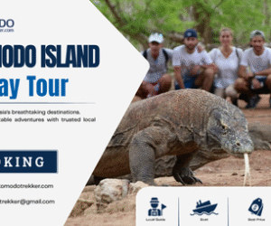 komodo island day tour
