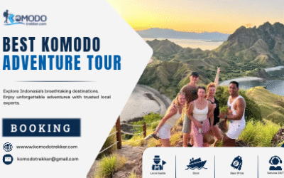 Best Komodo Adventure Tour for an Exciting Flores Experience