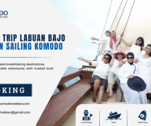 Open Trip Labuan Bajo 3D2N Sailing Komodo: Complete Guide for Your Komodo Adventure