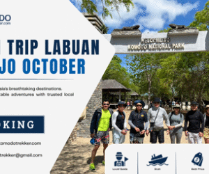 Open Trip Labuan Bajo October: Explore Komodo National Park with a Local Experience