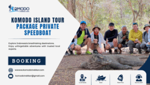 Komodo Island Tour Package Private Speedboat