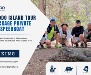 Komodo Island Tour Package Private Speedboat for a Premium Adventure in Indonesia