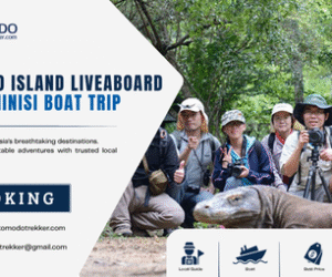 Komodo Island Liveaboard Phinisi Boat Trip: A Complete Guide to Exploring Komodo National Park by Traditional Sailing Boat
