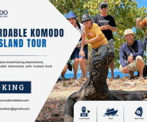 Affordable Komodo Island Tour with Exciting Island Adventures