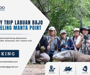 One Day Trip Labuan Bajo Snorkeling Manta Point