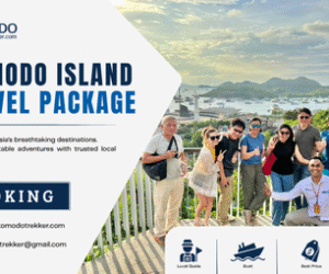 Komodo Island Travel Package | Explore Komodo Your Way
