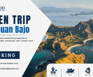Open Trip Labuan Bajo | Shared Boat & Liveaboard