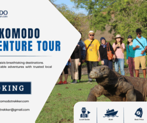 Komodo Adventure Tour for an Epic Labuan Bajo Journey