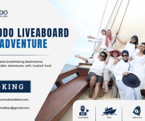 Komodo Liveaboard Adventure | Explore Komodo by Sea