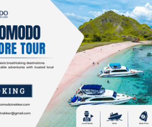 Komodo Shore Tour From Cruise Ship for a Smooth Day
