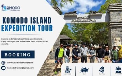 Komodo Island Expedition Tour Explore Indonesia’s Legendary Wildlife and Island Adventure