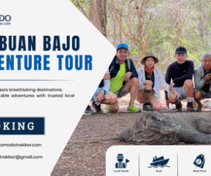 Labuan Bajo Adventure Tour for an Adventure-Filled Vacation
