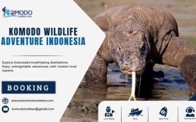 Komodo Wildlife Adventure Indonesia: Discover an Authentic Journey with Komodo Trekker