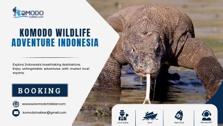 Komodo Wildlife Adventure Indonesia
