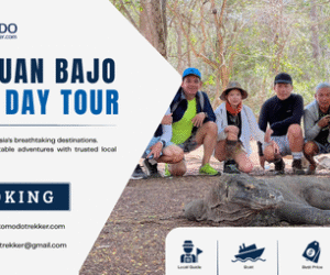 Labuan Bajo One Day Tour