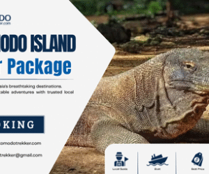 Best Komodo Island Tour Package for a Well-Planned Holiday