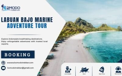 Labuan Bajo Marine Adventure Tour for an Unforgettable Komodo Experience