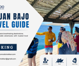 Labuan Bajo Travel Guide for an Unforgettable Komodo Trip