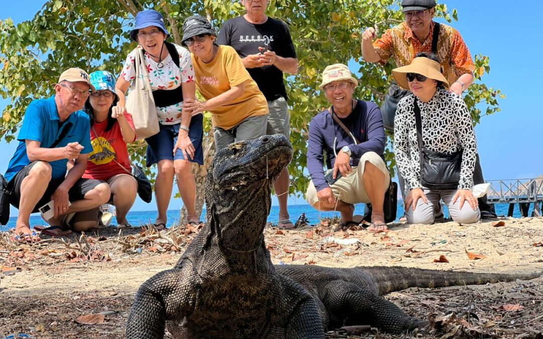 Watak Soliter Komodo, Berkumpul Hanya Untuk Bersenggama | Komodo Trekker’s Blog