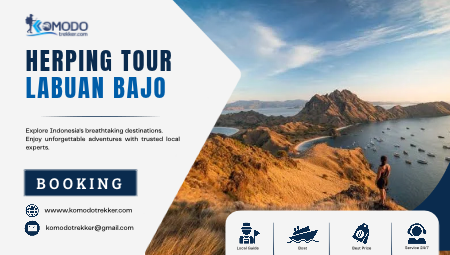 Herping Tour Labuan Bajo with Experienced Local Guides