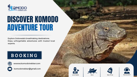 Discover Komodo Adventure Tour – Nature and Ocean Adventures