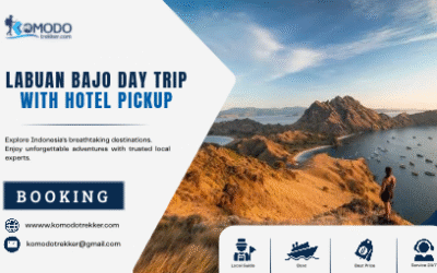 Labuan Bajo Day Trip with Hotel Pickup Plan Your Island Escape