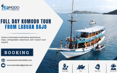 Full Day Komodo Tour from Labuan Bajo Plan Your Island Adventure