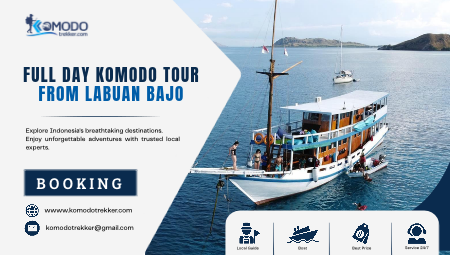 Full Day Komodo Tour from Labuan Bajo